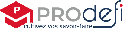 PRODEFI